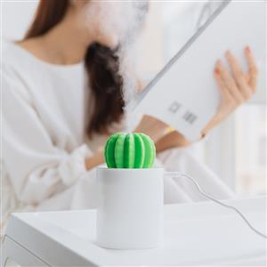 New mini USB cactus humidifier